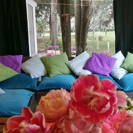 Holiday home La Casetta Del Pettirosso Conversano