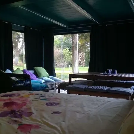 Holiday home La Casetta Del Pettirosso *